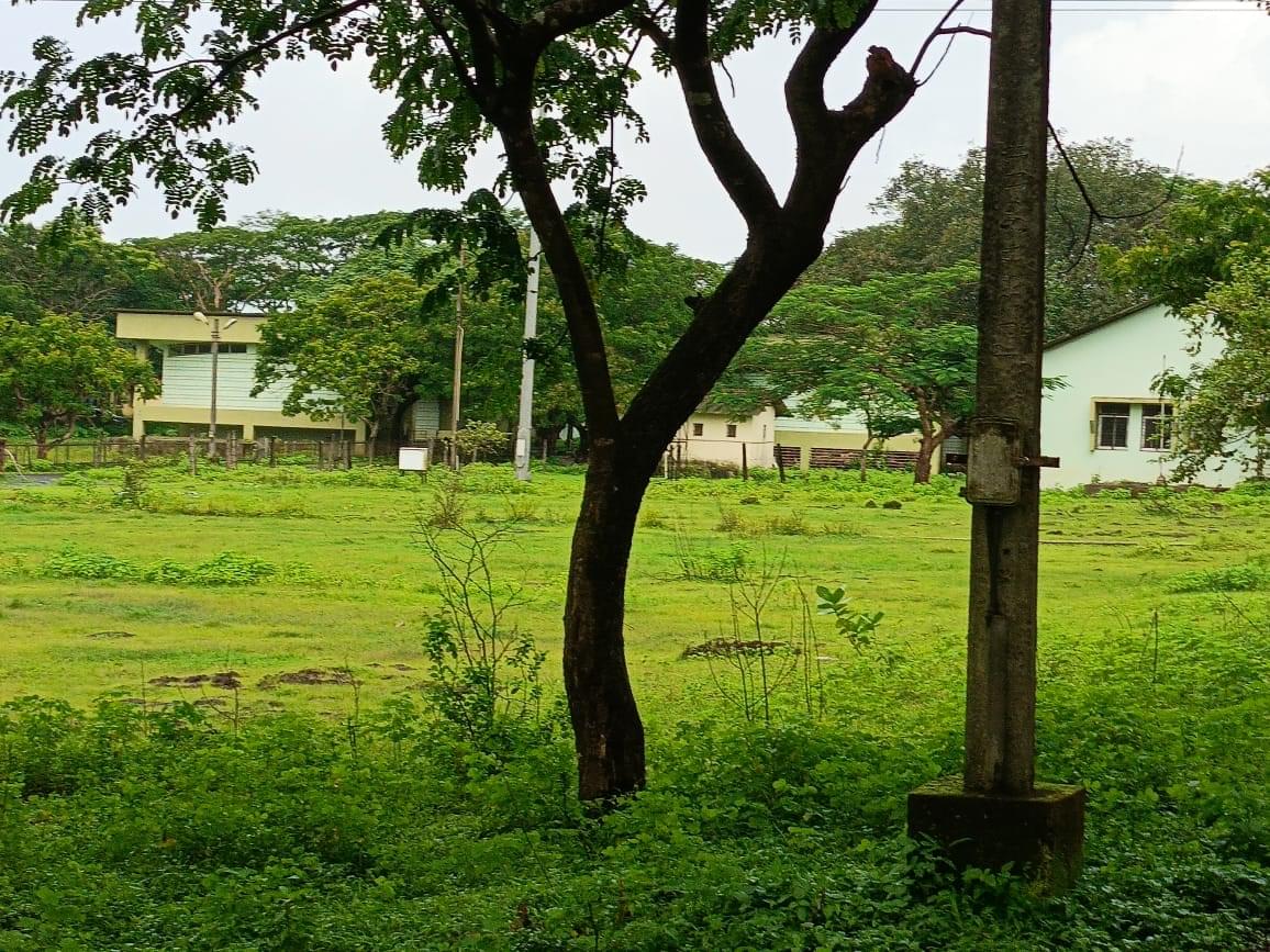 IIT Goa Campus photo 2